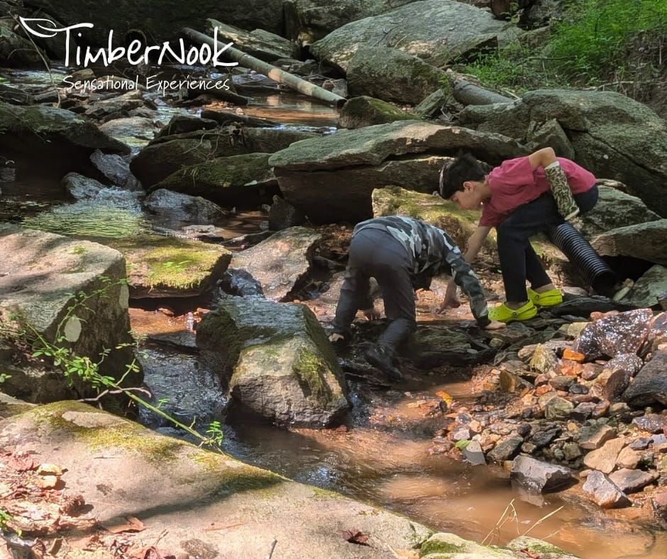 Drop-In Forest Play PD & Early Dismissal Day