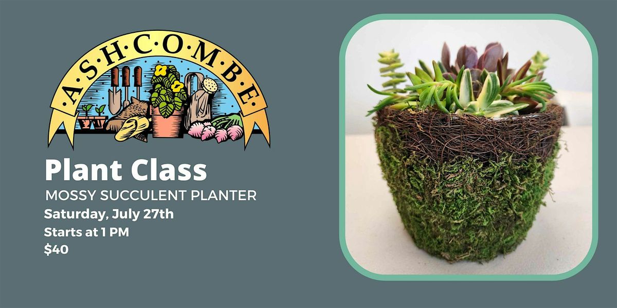 Mossy Succulent Planter