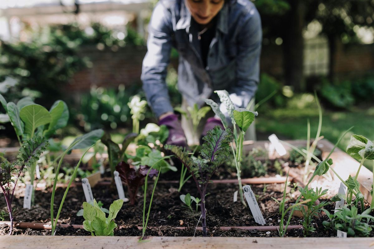 Sip & Snip: An Elegant Evening of Gardening and Fine Wine