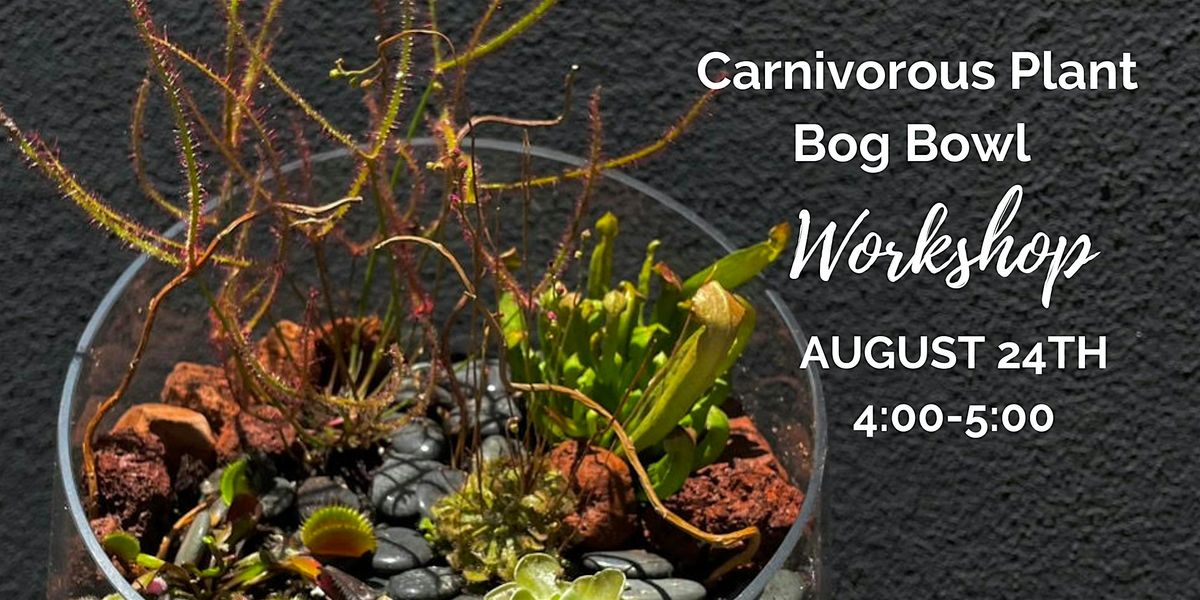 Carnivorous Plant Bog Bowl Workshop