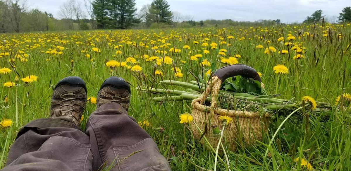 Spring Foraging Plant Walk