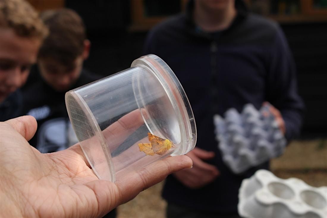 Testwood Lakes Wildlife Rangers