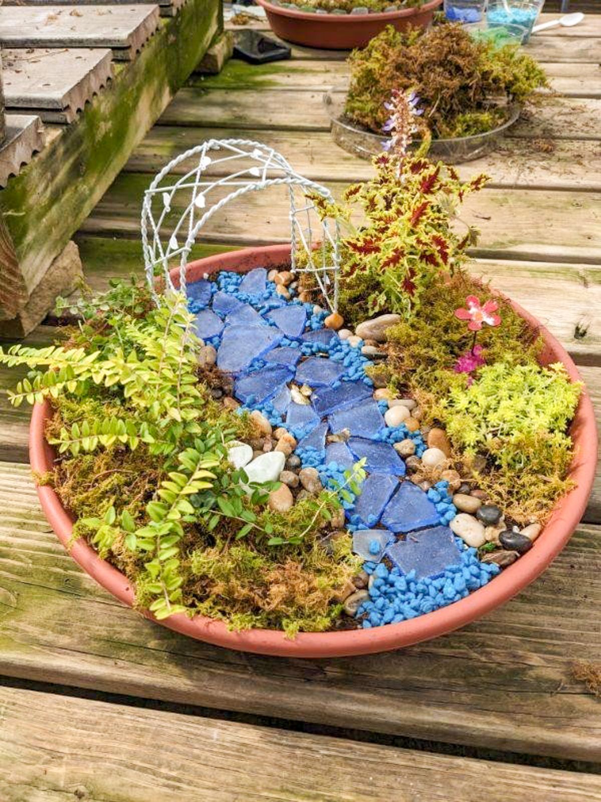 Fairy Garden Workshop