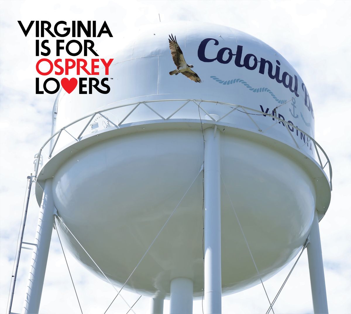 7th Annual Virginia Osprey Festival in Colonial Beach