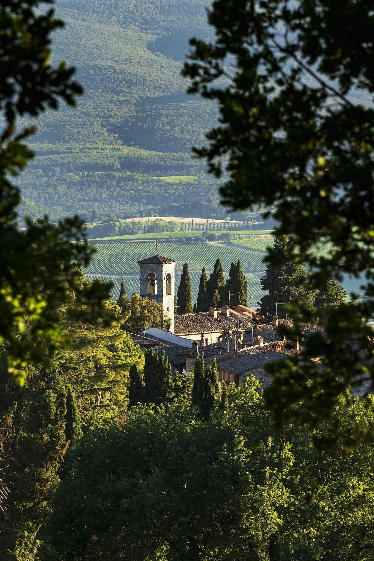 Wine Lunch - Tasting Lunch - A journey through Italy