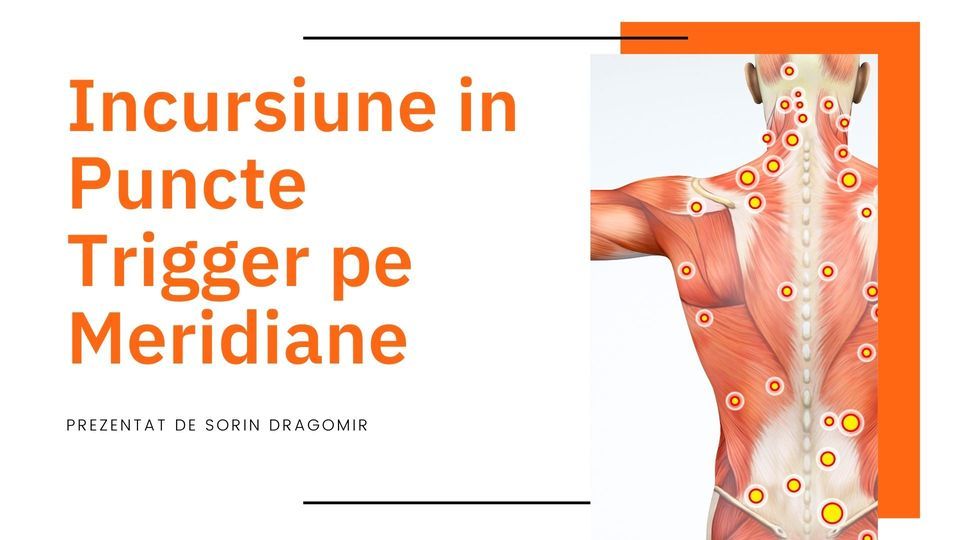 Terapia Punctelor Trigger pe Meridiane(modulul 1), Springlife Academy ...