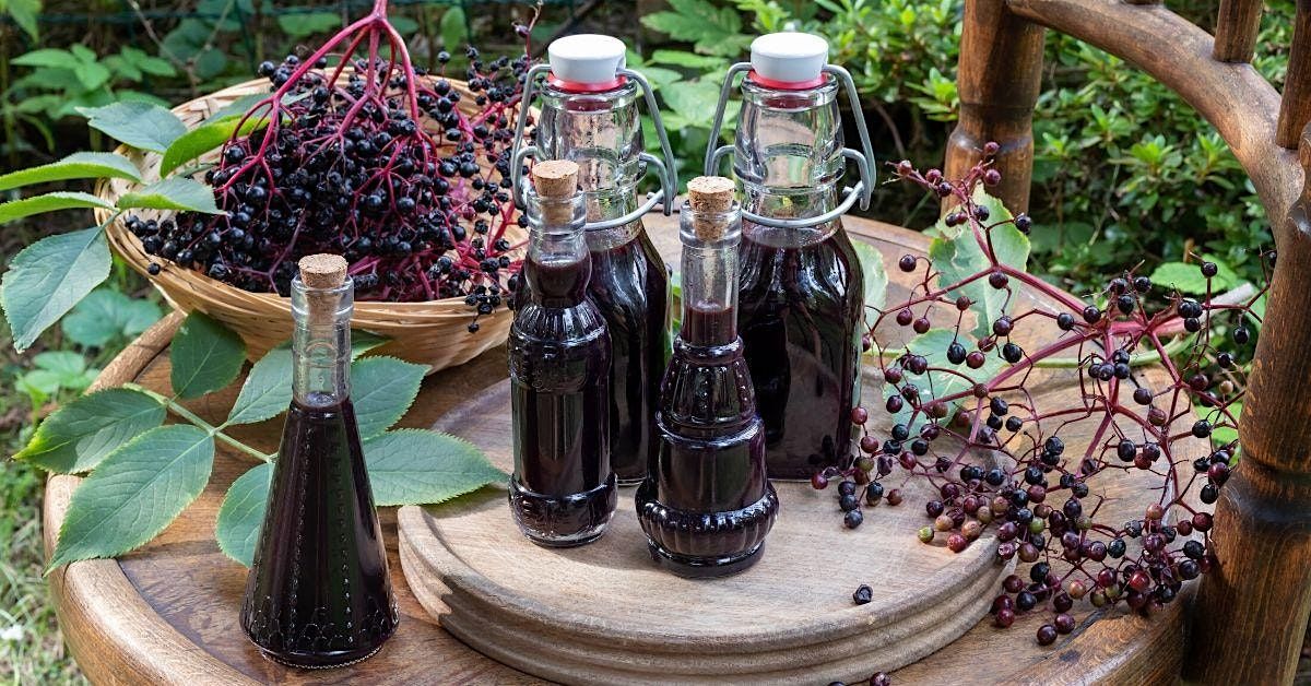 Elderberry Syrup & Medicinal Syrups Workshop