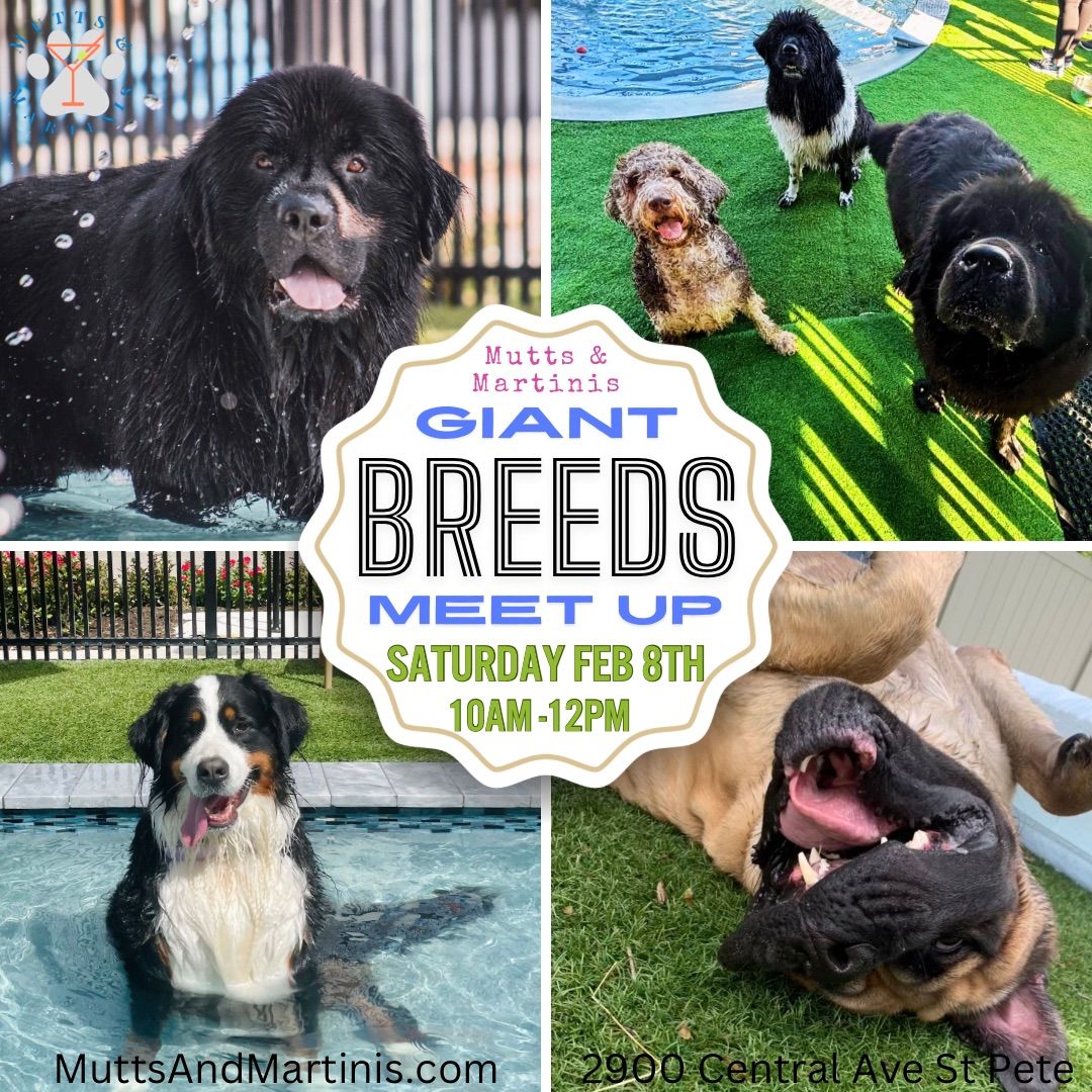 Giant Breeds Meet Up at Mutts & Martinis