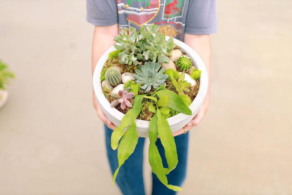 Succulent Bowl Treasure Make & Take Workshop