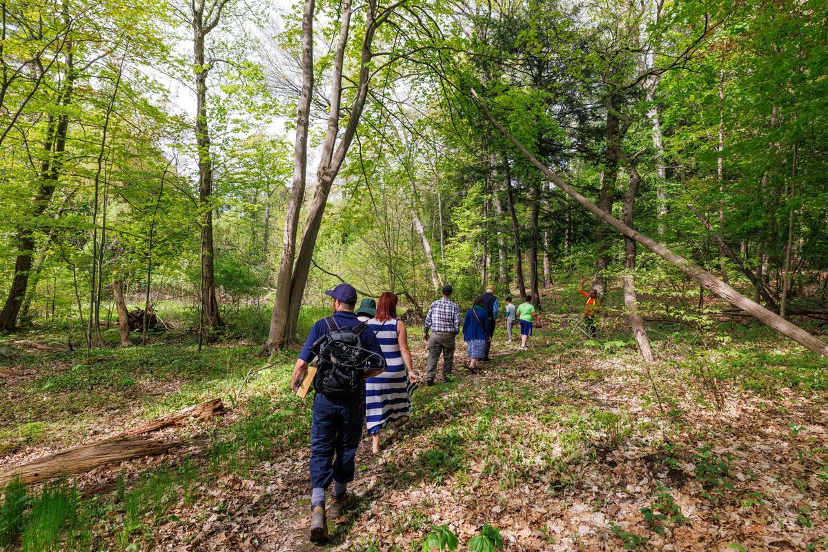 Guided Walk: Jack Darling Memorial Park