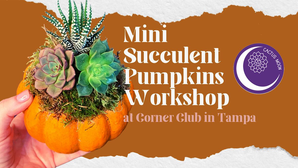 Oct 17: 'Lil Succulent Pumpkins Workshop at Corner Club