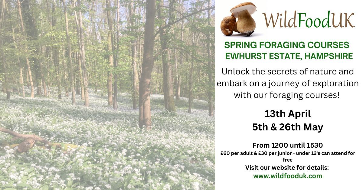 Hampshire, Ewhurst Park Spring Foraging Courses
