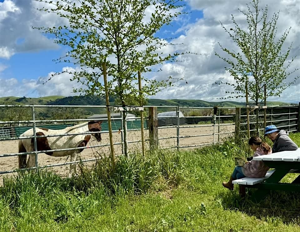 Read to a Horse Day at DreamPower Horsemanship