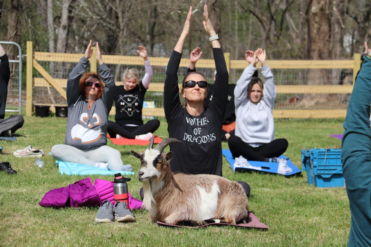 Totes Goats Goat Yoga