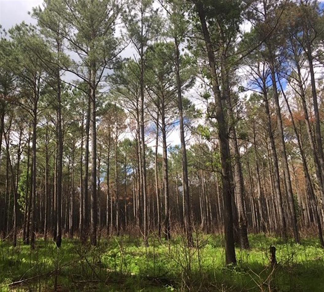 2024 Forest Landowner Conference