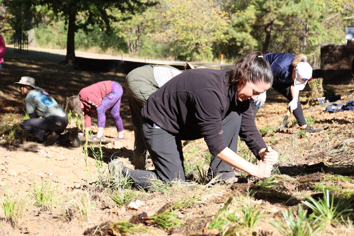 Mount Sequoyah Volunteer Days