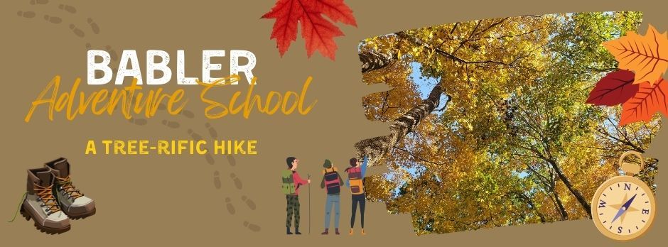 Babler Adventure School--A Tree-rific Hike