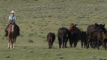 Mile Hi Cattlewomen's Fundraiser