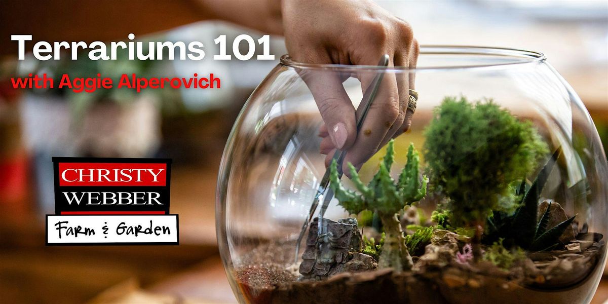 Terrariums 101