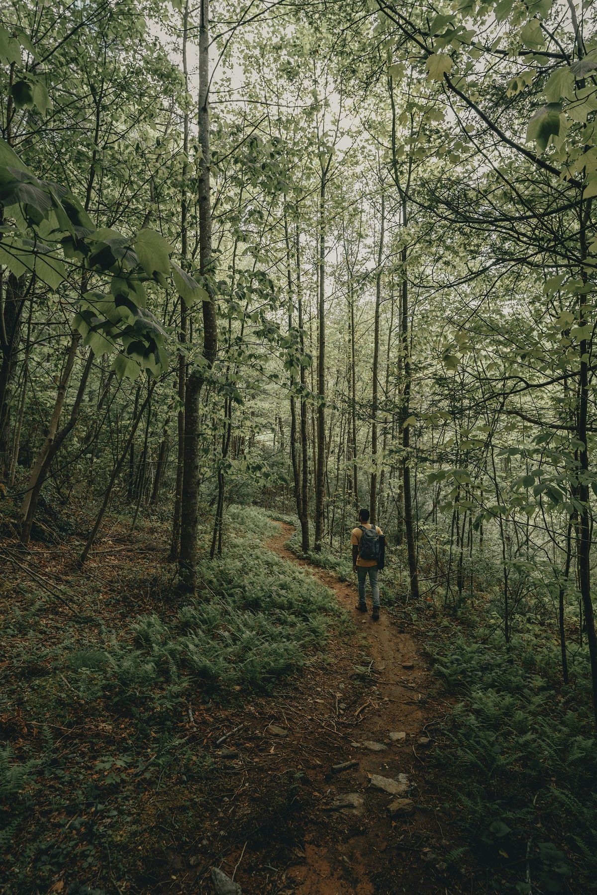 Sandhills Sauntering: 1 Day Road Trips