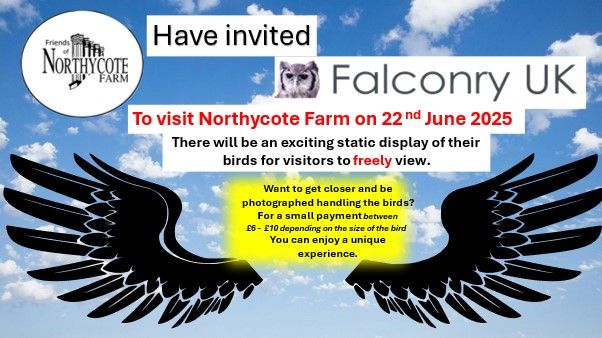 An Exotic Bird Experience with Falconry UK