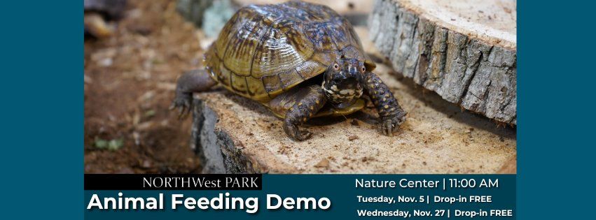 Animal Feeding Demonstration