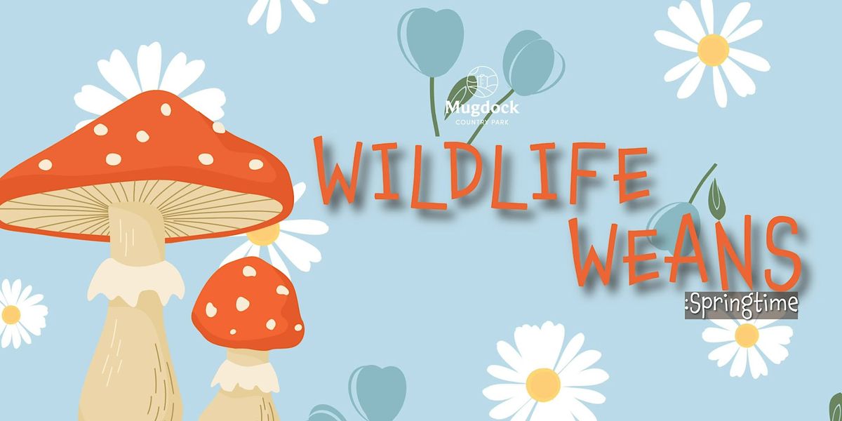 Wildlife Weans: Frogs & Fishes