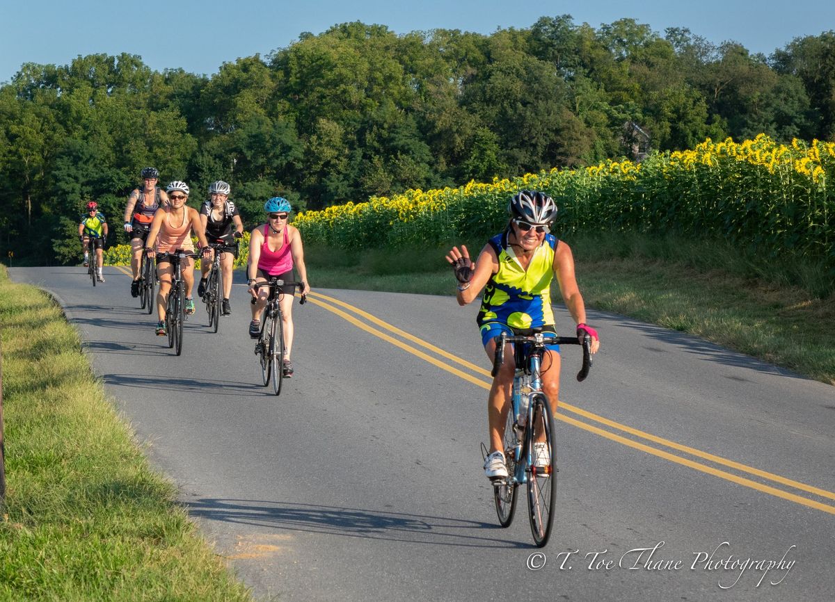 Tour De Brandts Time Trial