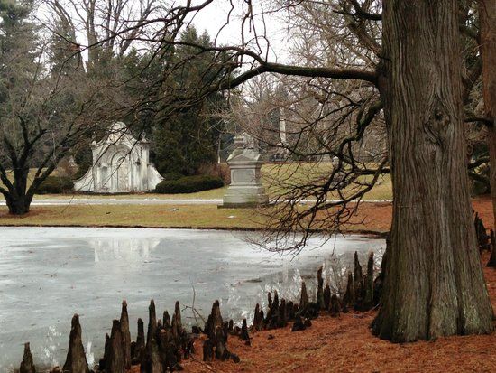 Spring Grove Nature Walk \/ Botanical Bingo