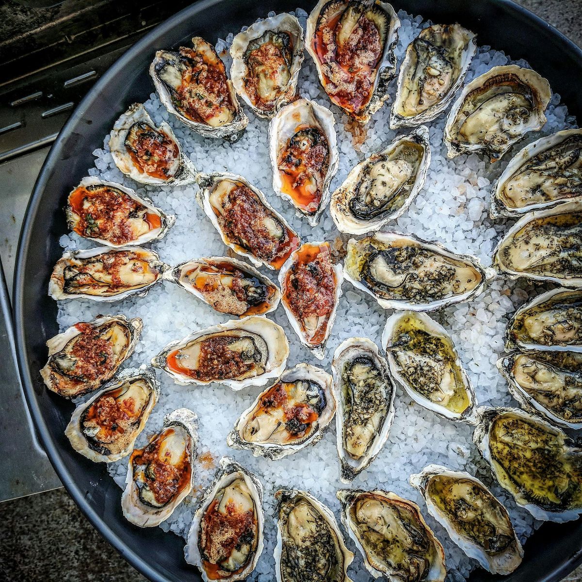 Oysterology 101: Intro to the Briny World of Bivalves