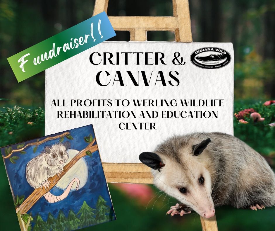 Werling Wildlife Rehabilitation & Education  Center Fundraiser