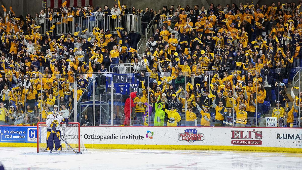 UMass Minutemen at American International Yellow Jackets Mens Hockey