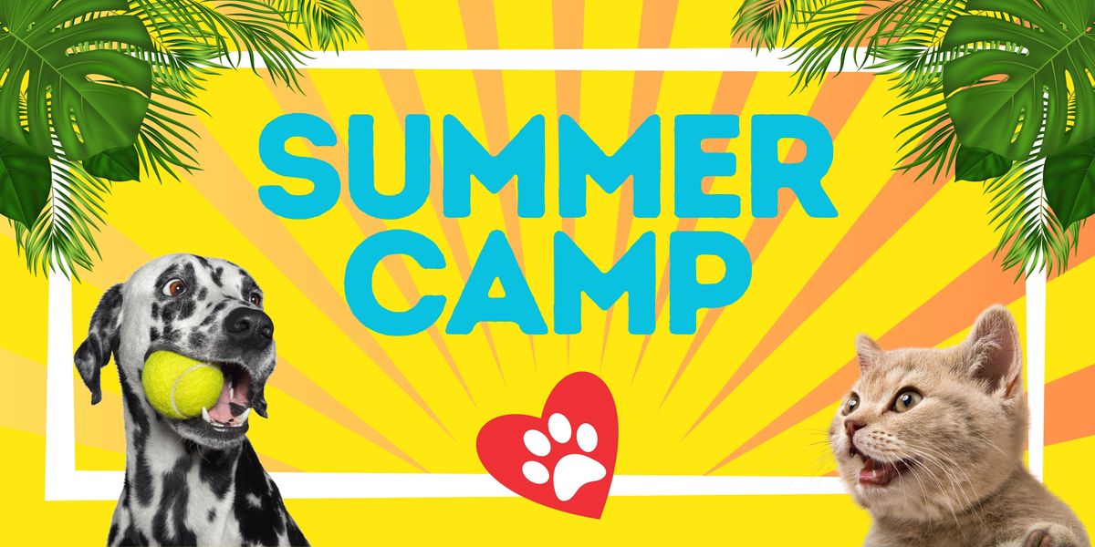 Summer Camp (Ages 9-12)