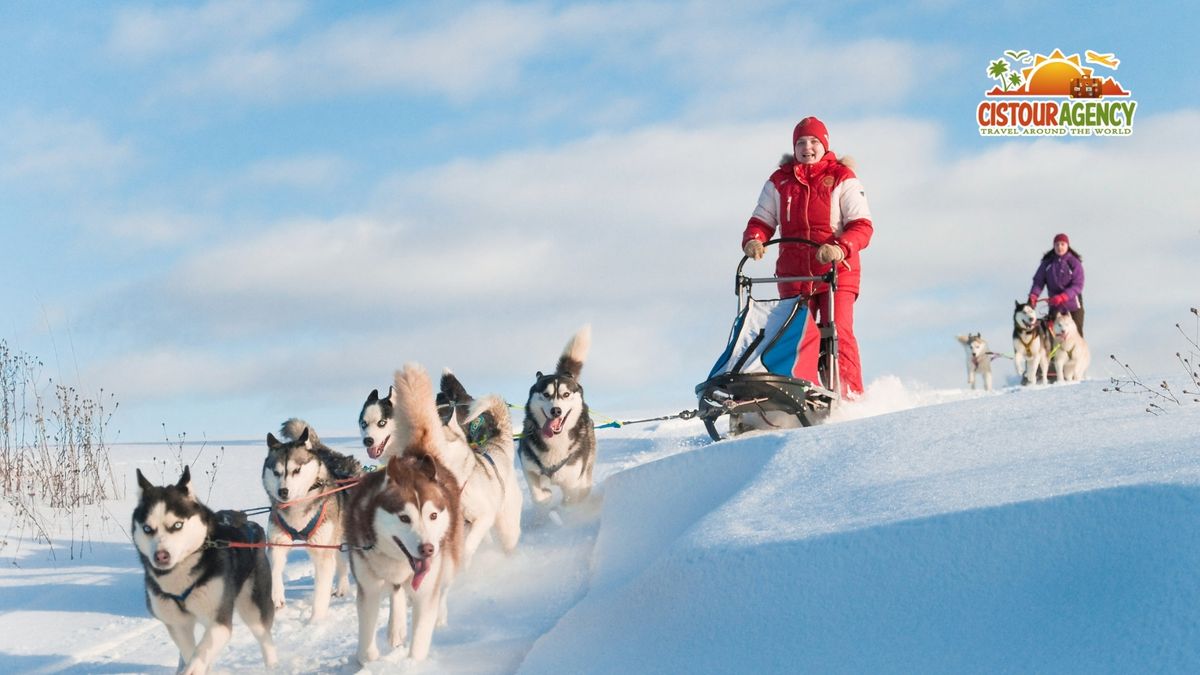 EXCURSIE 1 ZI PLIMBARE CU SANIA TRASA DE HUSKY