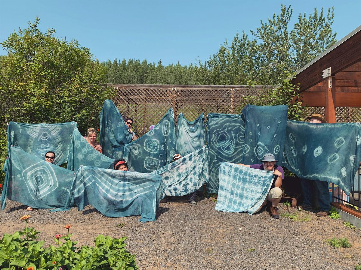 Indigo Dyeing with the Organic Vat Method at the Georgeson Botanical Garden