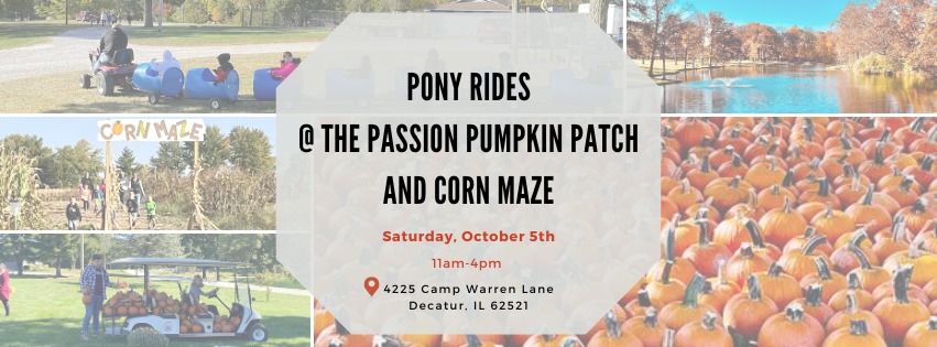 Pony Rides @ The Passion Pumpkin Patch and Corn Maze