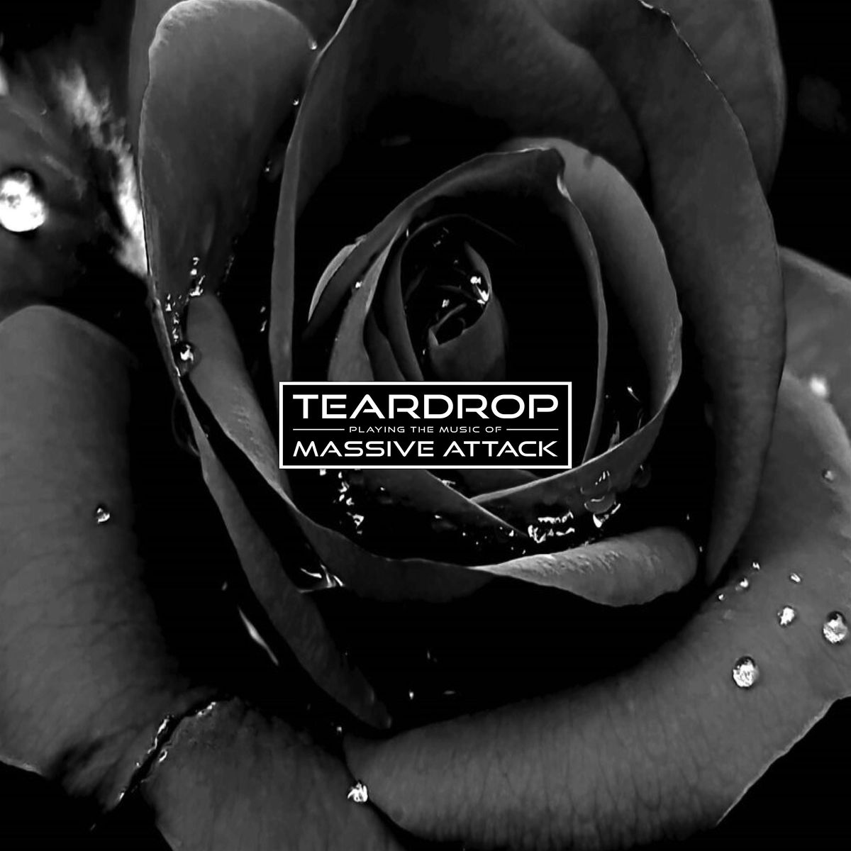 Teardrop play the music of Massive Attack