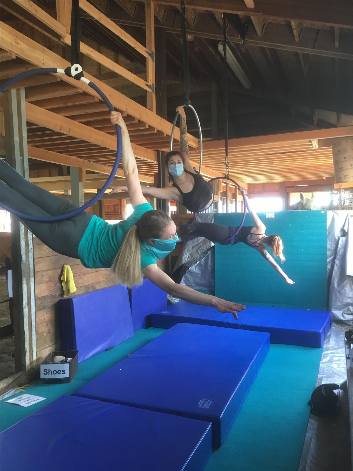 Adult Aerial clinic at Dreamswept Farm