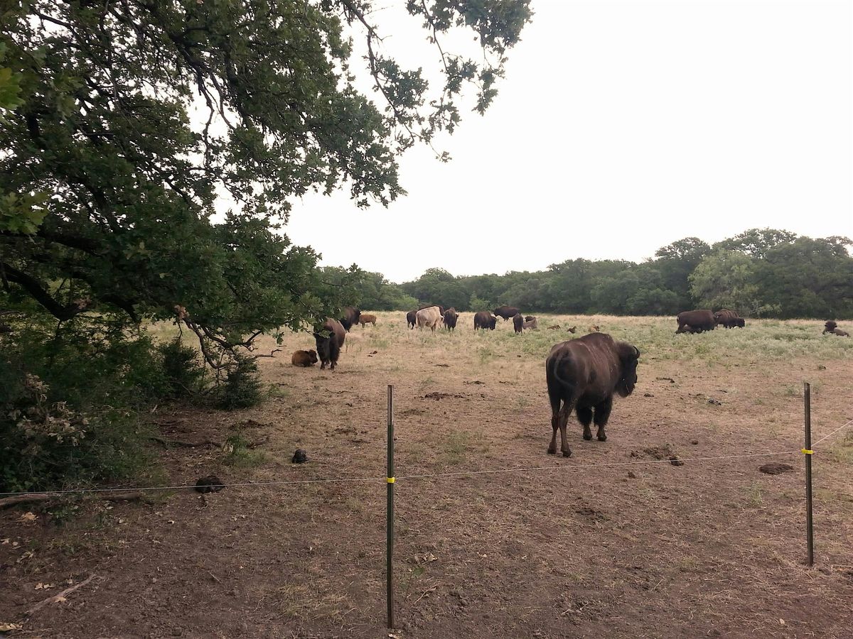 Nature Photo Walk at the Fort Worth Nature Center