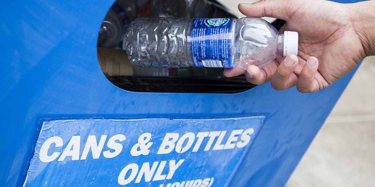 Reducing Plastics (Shamrock Park, Venice)