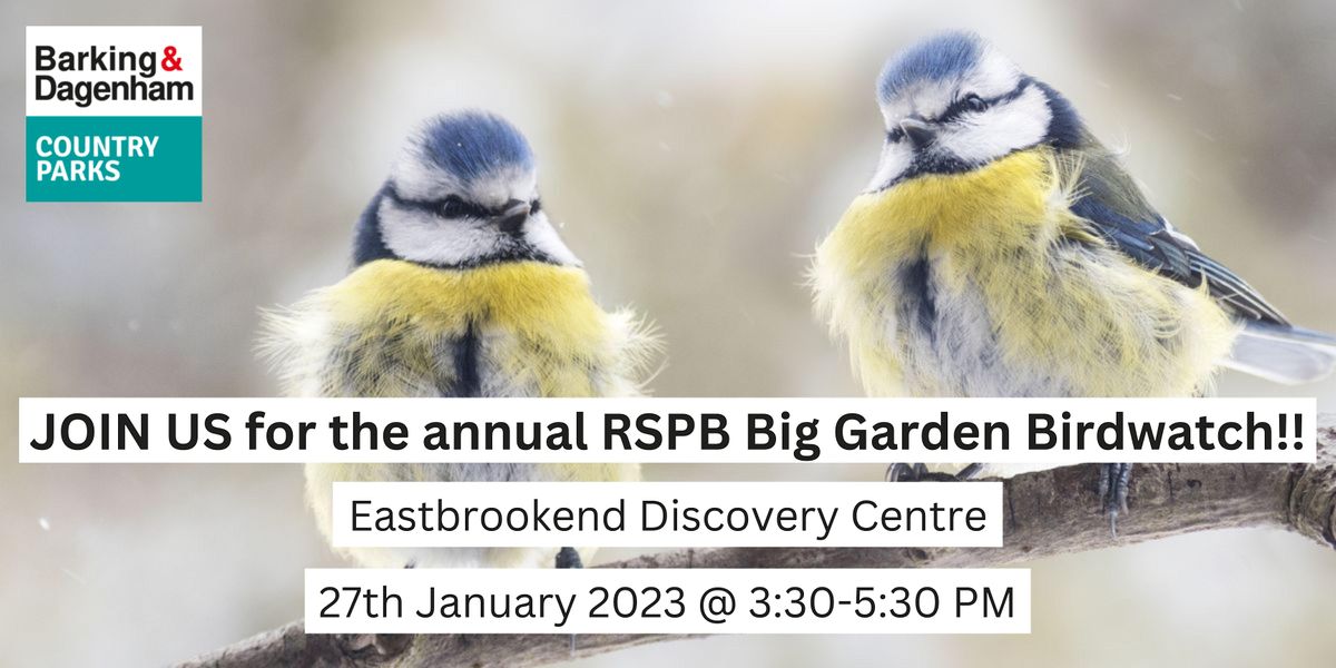 Family Birdwatching Masterclass! - Big Garden Birdwatch 2023