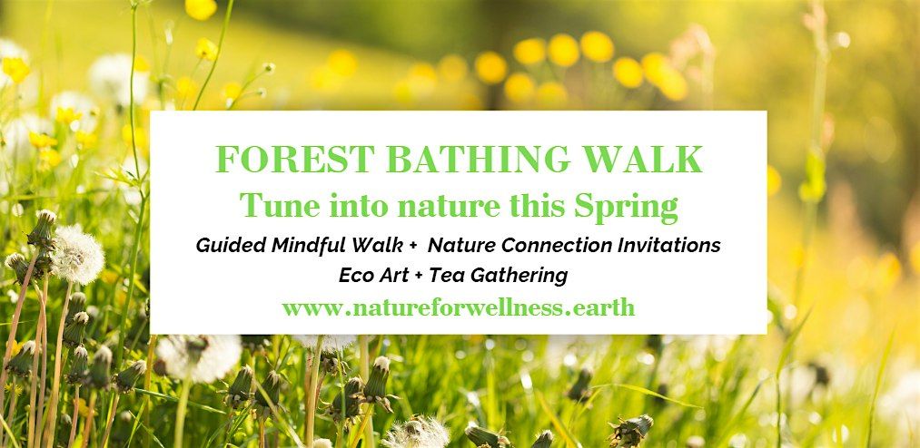 Forest Bathing Walk- Hermitage of Braid  Nature Reserve