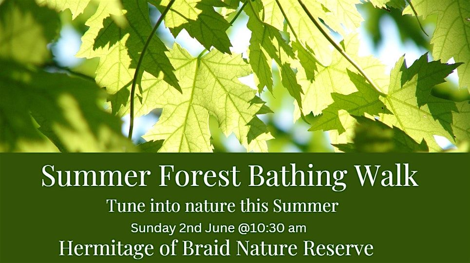 Forest Bathing Walk- Hermitage of Braid  Nature Reserve