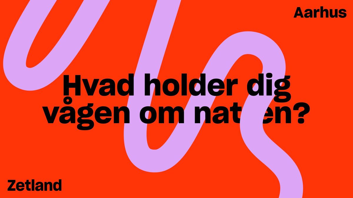 Zetland x Aarhus \u2013 Hvad holder dig v\u00e5gen om natten? 