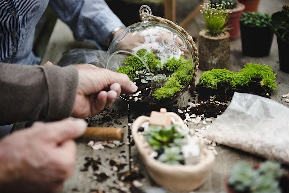 Terrarium Workshop