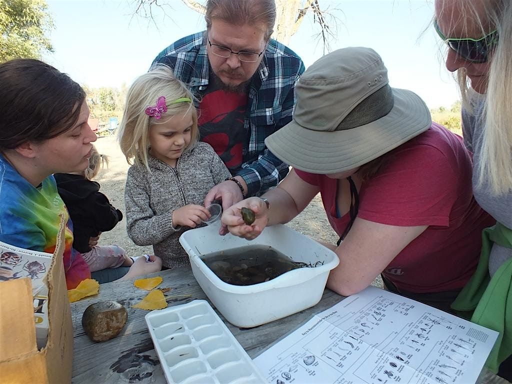 Homeschool Day: Wetland BioBlitz