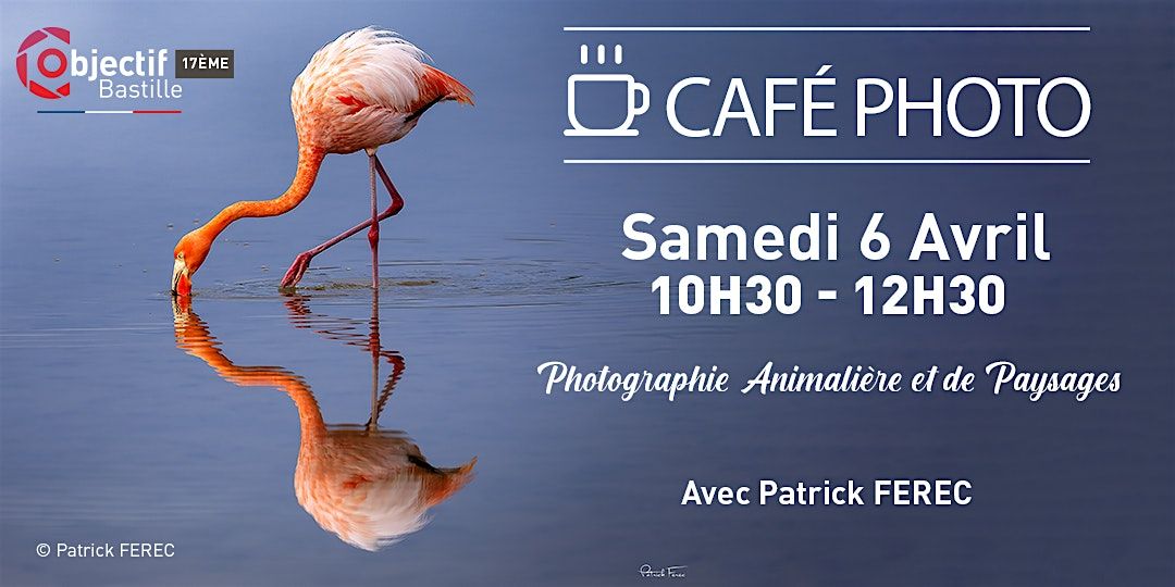 Caf\u00e9 Photo : Photographie Animali\u00e8re et de Paysages avec Patrick FEREC