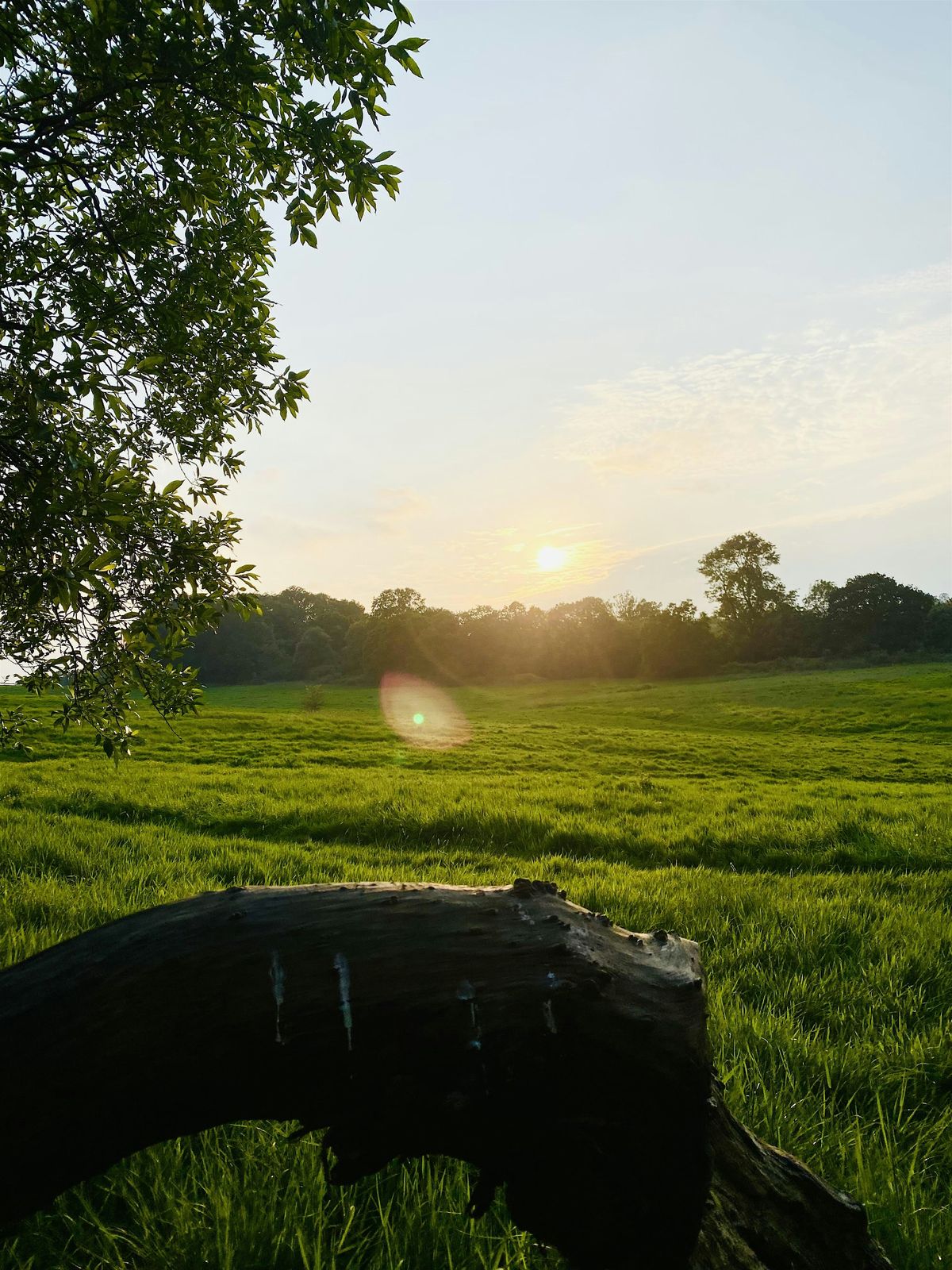 Spring\/Summer park mindfulness meditation