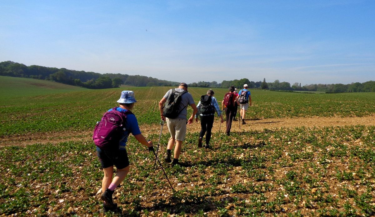 Doddington 11 mile walk