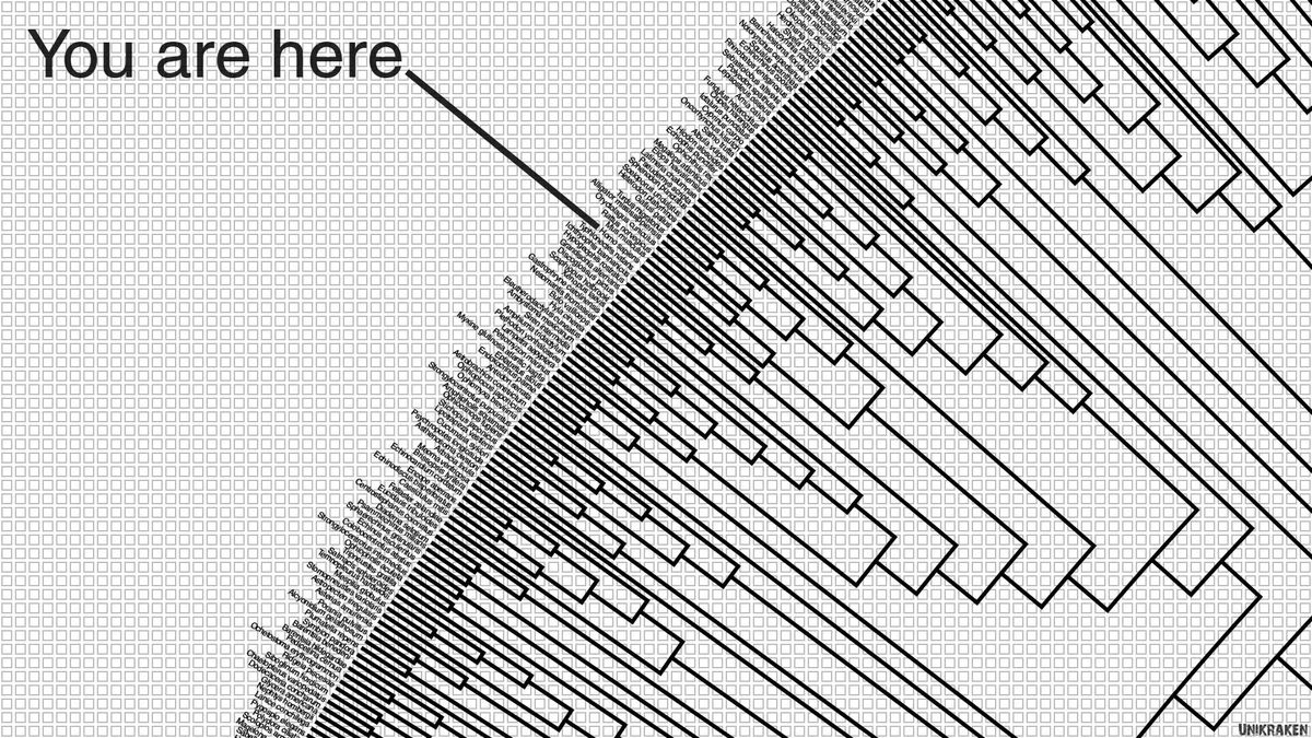 Science & Cocktails: Forensics, genetic genealogy and the trouble with race